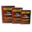 Egérfogó ragasztós lap kicsi(16,5*12cm) MAXTRAP