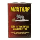 Egérfogó ragasztós lap közepes(19,5*12,5cm) MAXTRAP