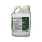 Bazoka Plus (200gr Bazoka+5 lit Galgone+ 5 lit Tipo)