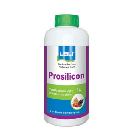 Prosilicon 1 l