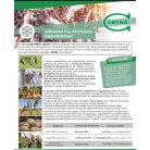 Idrogrena Plus Növénykondicionáló  25Liter (fagyvédelemre)