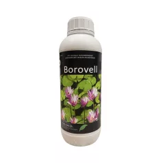 Borovell     1 liter