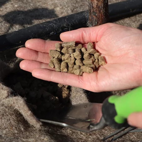 Gyapjú pellet bio 250 gr balkonládákba és cserepekbe