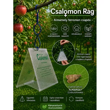 Csalamon Almamoly Csapda  2db  ( RAG )