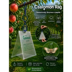 Csalamon Barackmoly Csapda  2db   ( RAG )