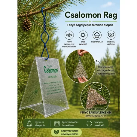 Csalamon Fenyőbagolylepke Csapda  2db  ( RAG )