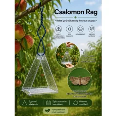 Csalamon Keleti gyümölcsmoly Csapda 2db  ( RAG )