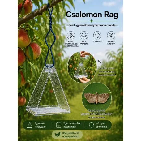 Csalamon Keleti gyümölcsmoly Csapda 2db  ( RAG )