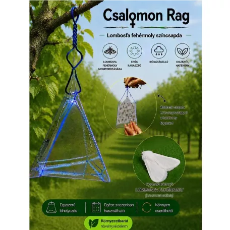 Csalamon Lombosfa Fehérmoly Csapda  2db  ( RAG )