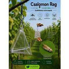 Csalamon SzőlőIlonca Csapda 2db  ( RAG )