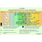 Csalamon Tarka Szőlőmoly Csapda  2db  ( RAG )  Lobesia botrana