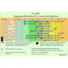  Csalamon Tarka Szőlőmoly Csapda  2db  ( RAG )  Lobesia botrana